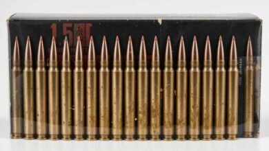 556 Ammo
