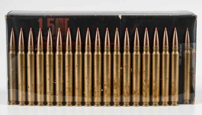 556 Ammo