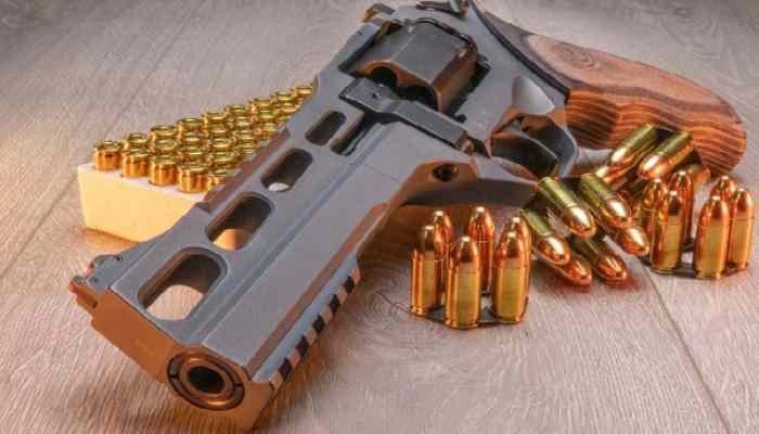 Chiappa Rhino