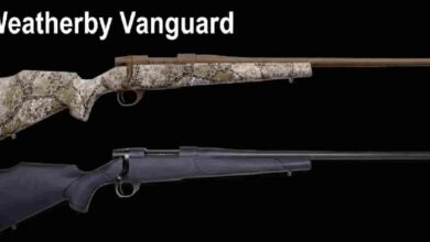 Weatherby Vanguard