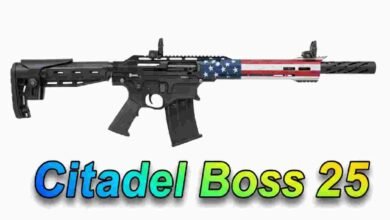 Citadel Boss 25