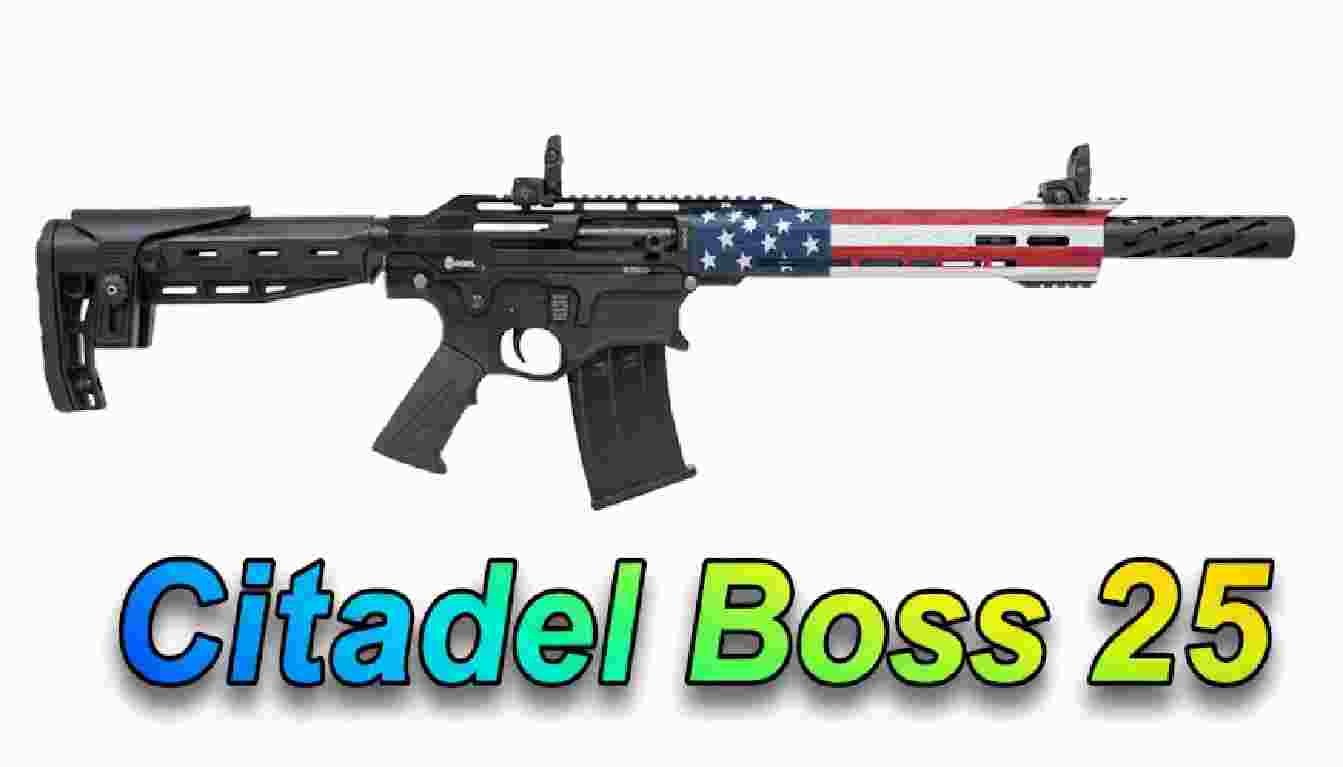 Citadel Boss 25